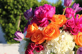 Several pink, orange, white, and purple flowers